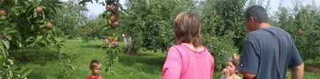 Check spelling or type a new query. Cold Hardy Fruit Trees Winter Cove Farm