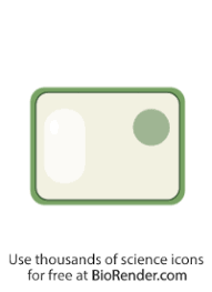 Check spelling or type a new query. Biorender Life Science Icons