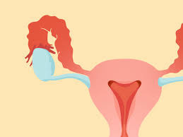 I have been worrying about same thing. 11 Causes Lower Abdominal Pain And Vaginal Discharge