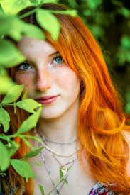 Who can take senior portraits in Dallas?