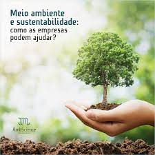 Educação ambiental, meio ambiente e sustentabilidade. Meio Ambiente E Sustentabilidade Como As Empresas Podem Ajudar Ambscience