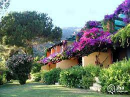 Check spelling or type a new query. Apartment Mieten In Cargese Iha 1629