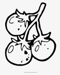 Browse and download hd tomato clipart png images with transparent background for free. Free Tomato Black And White Clip Art With No Background Clipartkey