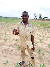 At 180 bushels per acre it is $3.58 per bushel. This Startup Is Helping Smallholder Farmers Make More Money