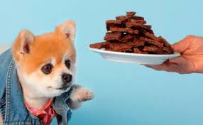 Chocolate treats are available for dogs, but these contain a special chocolate substitute that is safe for them to eat. What Dog Treats Should I Avoid For My Dog Bark