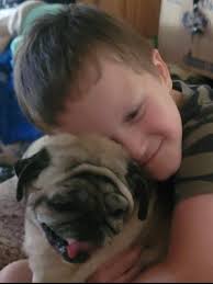 Anyone in the Towles Mill area seen this sweet baby? He's our resident  stray, about 9months old now and very lovable. He's been gone a few days at  a time before but