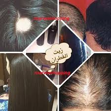 زيت القطران المغربي الاصلي للشعر مول منتدى سيدات الإمارات
