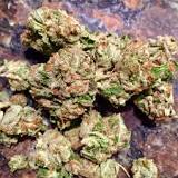 Image result for whats Kosher kush strain