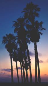 Mulai dari gambar pemandangan, unik, lucu yang bisa kenapa sih gambarnya itu harus keren? 25 Super Pretty Iphone Xs Wallpapers Preppy Wallpapers Rainy Wallpaper Rainy Wallpaper Iphone Sunset Wallpaper