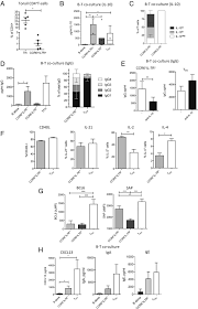 Welcome to a10, your source for awesome online free games! Evidence For A Pathogenic Role Of Extrafollicular Il 10 Producing Ccr6 B Helper T Cells In Systemic Lupus Erythematosus Pnas