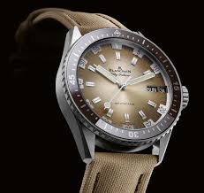 Image result for Desert Tan 1983 Hussmann