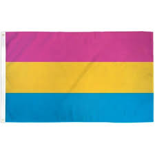 Great news!!!you're in the right place for lgbt pansexual. Pansexual Rainbow Lgbt Polyester 3x5 Foot Flag Gay Lesbian Omnisexual Banner Walmart Com Walmart Com