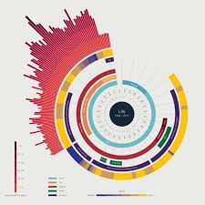 Circle Of Life Cv Information Visualization Information