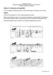 Kostenlose arbeitsblätter und unterrichtsmaterial für die grundschule zum thema arbeitsblätter der sachunterricht in der grundschule ist sehr umfangreich. Facherverbindender Lernzirkel Zum Thema Wattenmeer 4teachers De