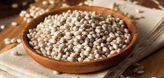Small White Beans Nutritional Health Benefits White Navy Beans