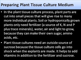 Maybe you would like to learn more about one of these? Preparing Plant Tissue Culture Medium Ppt Video Online Download