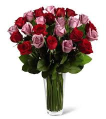 We did not find results for: The Ftd Red And Lavender Rose Bouquet Rose Arrangements Catalog Order Online And Save