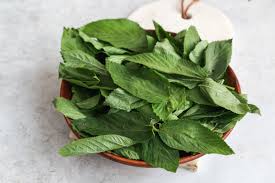 It is cultivated in china for its jutelike fiber and has become naturalized as a weed in north america. Molokhia Little Sunny Kitchen