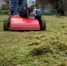 Das umgraben der gemüsebeete im frühjahr gehört für hobbygärtner mit ausgeprägtem ordnungssinn zum pflichtprogramm: Garten Umgraben So Einfach Konnen Sie Ihren Garten Frasen Welt