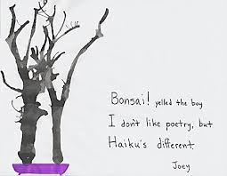 But Haiku Is Different Haiku Poems Haiku Poetry Haiku