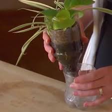 how to grow plants in a plastic soda or water bottle it s a great activity for kids video gardening for kids growing plants plants