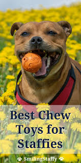 Pin On Treats And Toys For Dogs