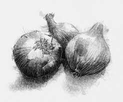 Pin On Drawing