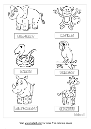 Check out our collection of free animal coloring pages. Animal Classification Coloring Pages Free Animals Coloring Pages Kidadl