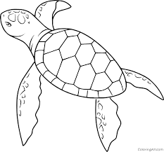 What you see in black in the image is the decal, there is no background. Sea Turtle Swimming Coloring Page Coloringall