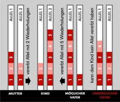 Wir untersuchen bei einem vaterschaftstest die dna der teilnehmer. Humatrix Vaterschaftstest Fragen Antworten