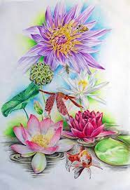 I fiori utilizzati nei tatuaggi sono tra i più disparati: Vivaio Hydrophyllum Piante Acquatiche Cittadella Disegno Del Mio Tatuaggio Fatto Dalla Bravissima Alessandra Romeo Da Sopra Capensis Zanzibarensis Arc En Ciel Foglia E Fiore Di Nelumbo Nucifera Ninfea Black Princess Mancano