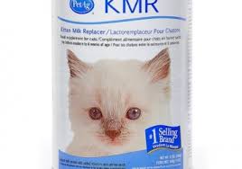 So, what's the best food? Cat Food Buy Sell Pets A Complete Petshop In Pakistan