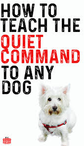 How To Teach The Quiet Command And Get Your Dog To Stop Barking On Cue Dog Training Obedience Dog Training Puppy Training