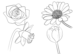Placer le tambour à broder sur le vêtement à l'endroit du dessin. Apprendre A Realiser Un Dessin De Fleur Dessindigo