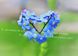 Pin by qadeershaw on heart touching poetry urdu poetry romantic. Quotes About Blue Flowers Quotesgram