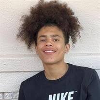 Tae'Sean D. Bartkowiak Obituary (2025)