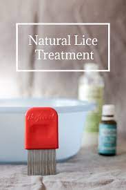 How To Treat Lice With Natural Products Chuzai Living