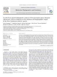 Image result for Diospyros consolatae