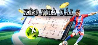 Comparing Kèo Nhà Cái Which Bookmaker Offers the Best Value – QEC KUST