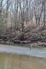 We did not find results for: Trout Fishing In The Neshaminy Creek Tyler State Park Picture Of Tyler State Park Newtown Tripadvisor