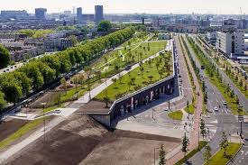 This specialized area of landscape architecture practice includes planting design theory, growth requirements of plants, plant nomenclature, plant selection and procurement, nursery production, and ecologically sustainable plant use. Planting Plan 10 Common Mistakes You Should Always Avoid