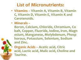 Macronutrient And Micronutrient Food List Micronutrients Nutritarian Diet Micro Nutrients