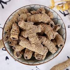 Image result for Morinda angolensis