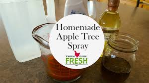 Improve coverage and yield with customized solutions. Homemade Apple Tree Spray Farm Girl Fresh