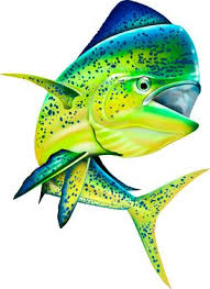 Jumping Mahi Mahi Dolphin Fish Illustration Photoshop Clipart Http Www Spiritgraphix Com Saltwater Fish Clipart Fish Art Fish Drawings Fish Painting