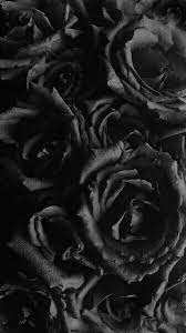 Wallpaper Iphone Black Roses Pintock Black Roses Wallpaper Black Wallpaper Black Phone Wallpaper