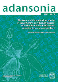 Image result for Vepris renieri