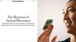 Third-generation Ig Nobel Prize winner David Hu, profiled in the New York  Times