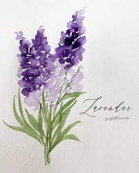 Beginners often don't know how to use watercolor paints and what to expect from this extraordinary art medium. Lavender Artbyzafikha Tutorial Previous Post Paint Sennelier1887 Schmincke Official B Watercolor Flowers Paintings Flower Art Watercolor Flowers