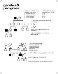 Genetics And Pedigree Worksheets Teaching Resources Tpt